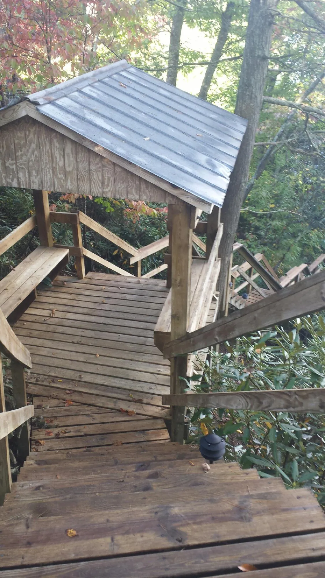 Metal roofed shelter over wooden steps on a wooded walkway — Skylight Repair & Installation work by our crew in North Collins