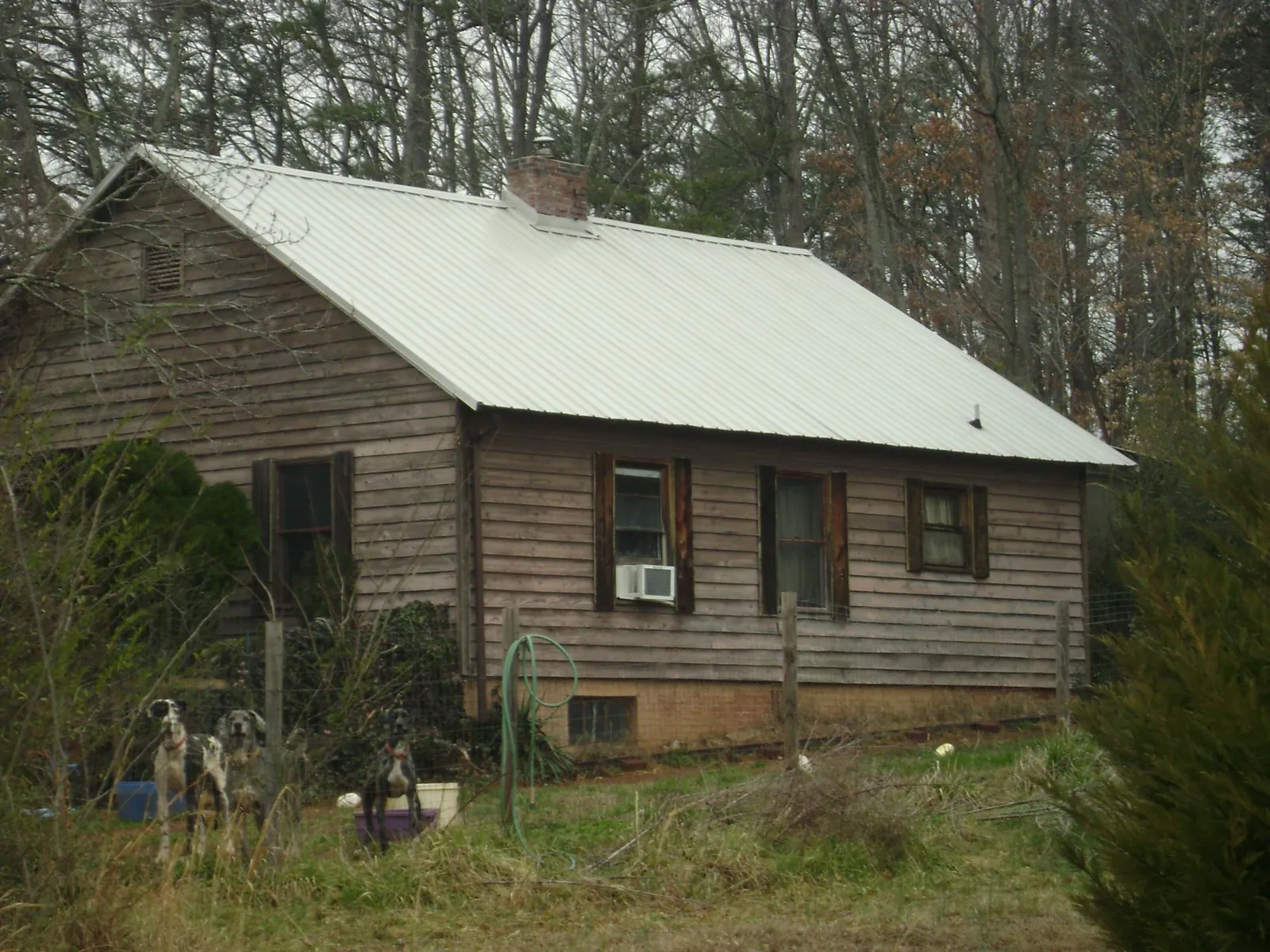 White metal roof on an old wood sided farmhouse, from a Asphalt Shingle Roof Repair job in North Collins